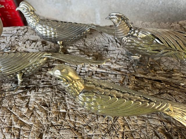 Faisanes de alpaca, set de 6 figuras