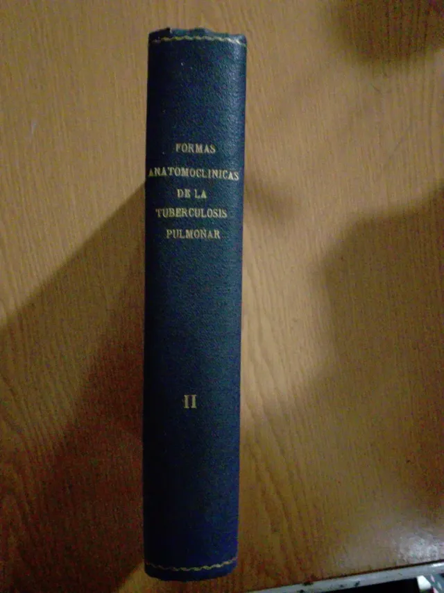 Formas Anatomoclonicas de la tuberculosis pulmonar