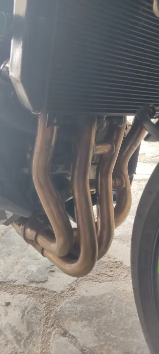 Kawasaki Z900 125cv 2018