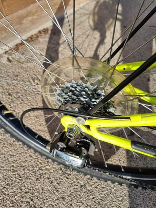 MTB BICI BIANCHI PHOLCUS