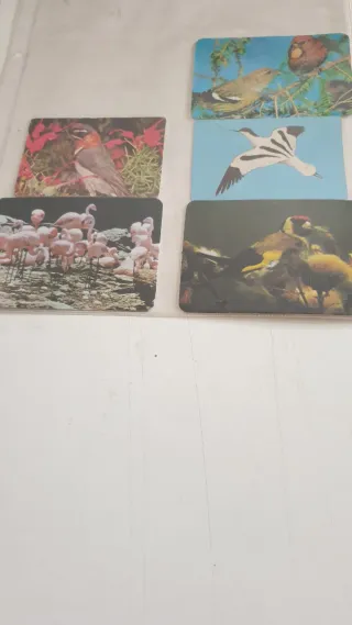 Calendários a partir de 1984 colados