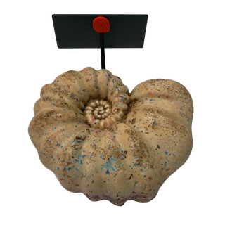 Réplica Amonita Rosa Única