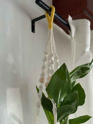 Colgador Macramé para Plantas