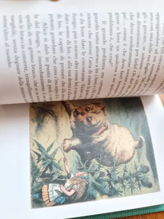 LEWIS CARROLL - LE AVVENTURE D