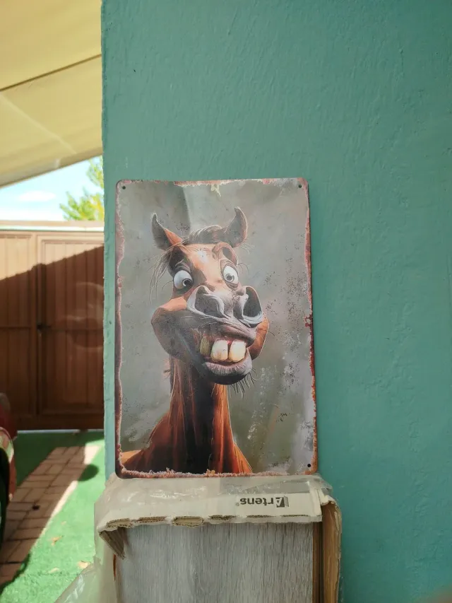 Letrero Chapa Caballo Divertido