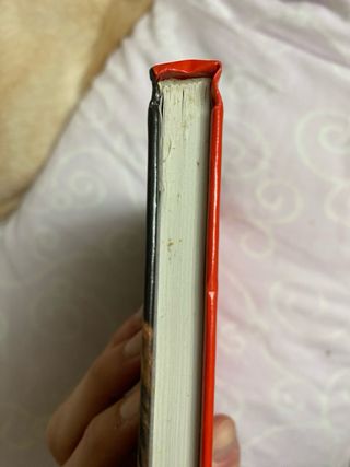 Diario misterioso Harry Potter