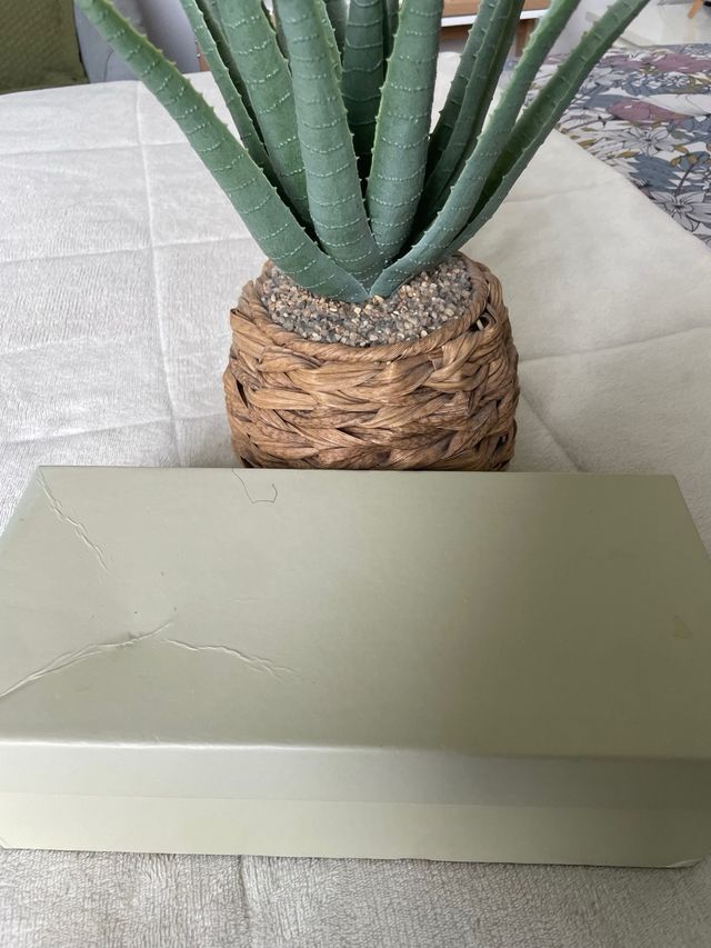 Zapatos punta cuadrada marrón talla 42