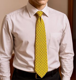 Cravatta Pierre Cardin Paris in pura seta