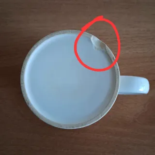 Taza Santa Cruz Skateboards Dressen Roses