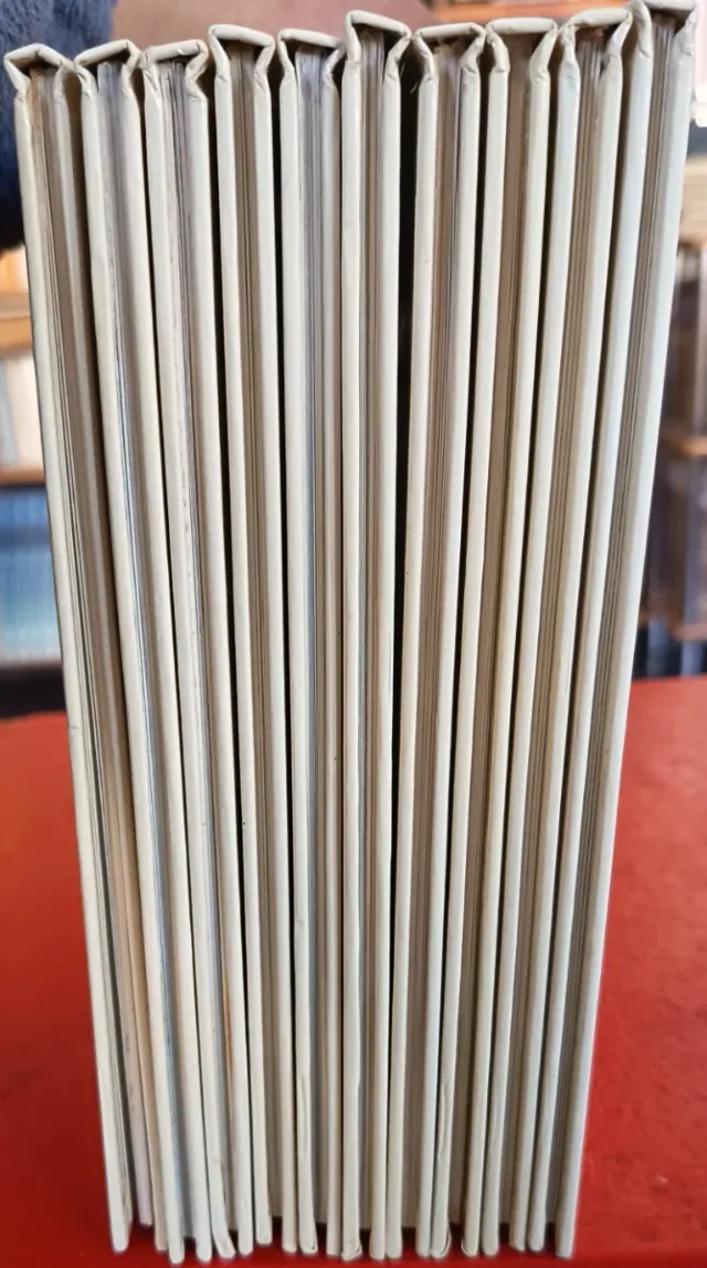 Primera biblioteca Altea. Soy un...