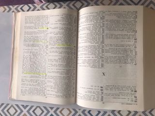 Nuevo Diccionario Chino-Espanol(Chinese Edition)