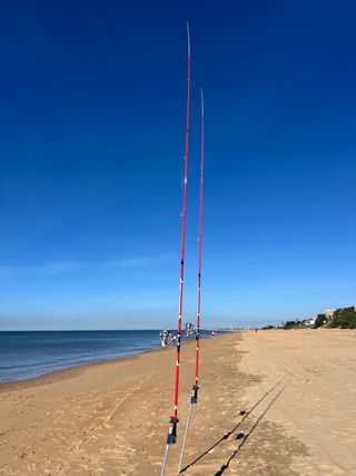 Cañas de surfcasting