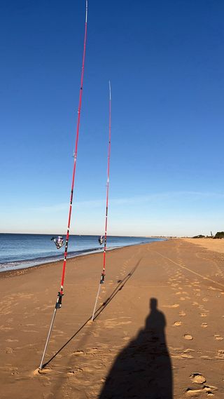 Cañas de surfcasting