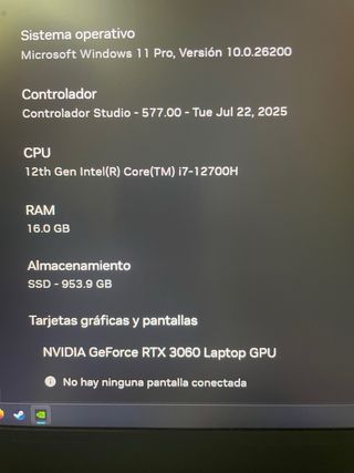 Portátil Gaming MSI 17,3 Negro y Verde