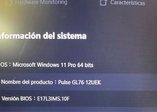 Portátil Gaming MSI 17,3 Negro y Verde