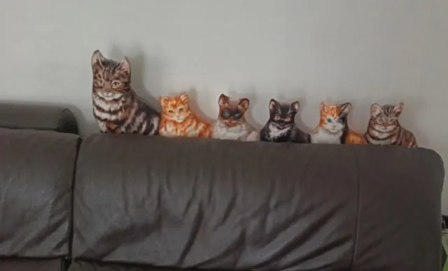 Cuscini arredi casa gatti