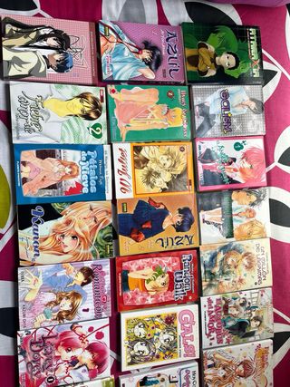 Colección de mangas variados