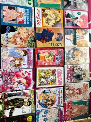 Colección de mangas variados