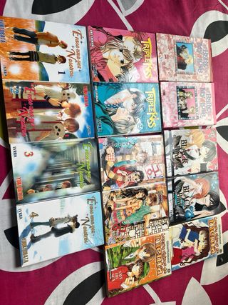 Colección de mangas variados