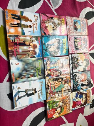 Colección de mangas variados