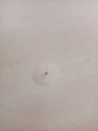 Cómoda o cambiador bebé madera