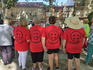 Camisetas para peñas