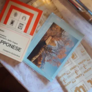 Scatola souvenir giapponesi con bacchette