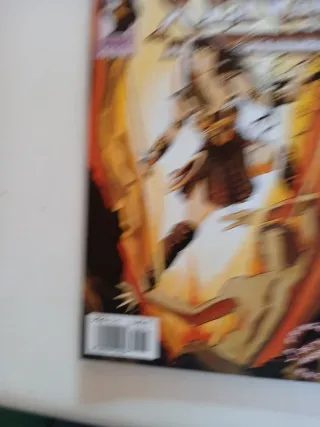 Xena Warrior Princess