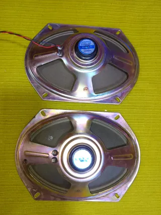 Altavoces Roselson 8x10 Vintage
