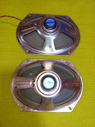 Altavoces Roselson 8x10 Vintage