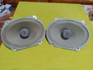 Altavoces Roselson 8x10 Vintage