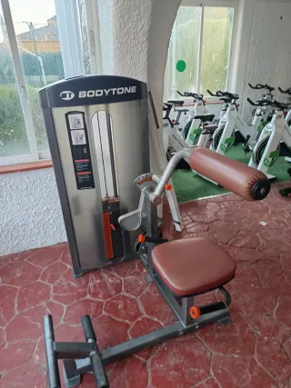 Máquina Bodytone Profesional Placas