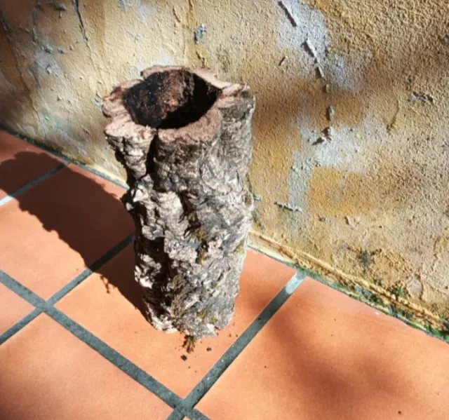 Tubo de corcho natural