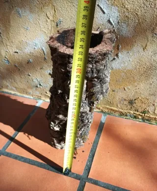 Tubo de corcho natural