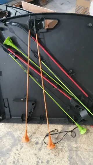 Diana Geologic para tiro con arco