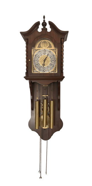 Reloj de Pared TEMPUS FUGIR