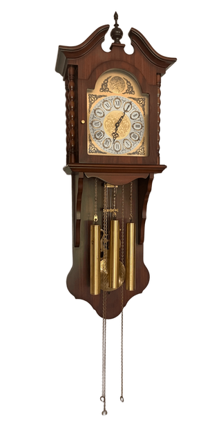 Reloj de Pared TEMPUS FUGIR