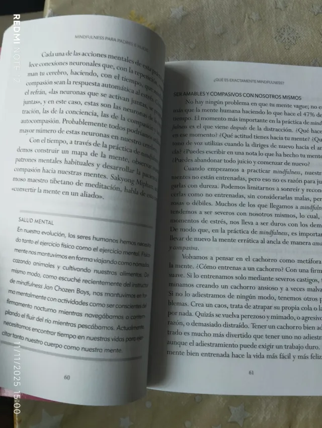 MINDFULNESS PARA PADRES E HIJOS (Spanish Edition)