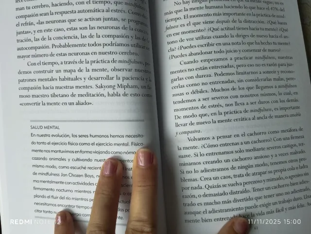 MINDFULNESS PARA PADRES E HIJOS (Spanish Edition)