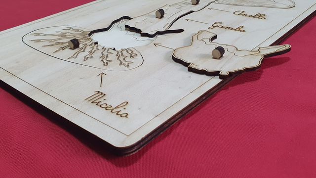 Puzzle legno fungo montessori nomenclatura