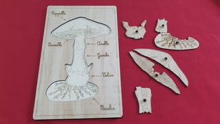 Puzzle legno fungo montessori nomenclatura