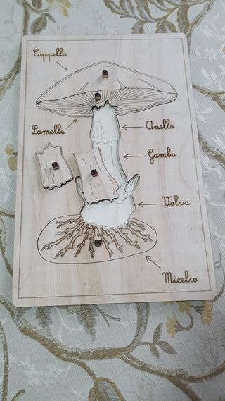 Puzzle legno fungo montessori nomenclatura