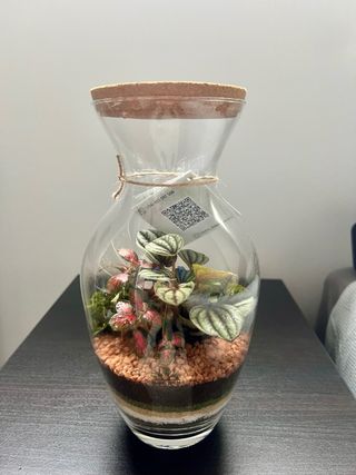 TERRARIO / JARDÍN ETERNO