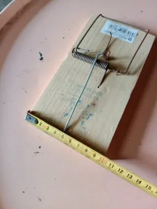 Ratoeira grande para animais maiores