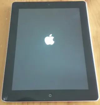 Apple iPad Plata 16GB
