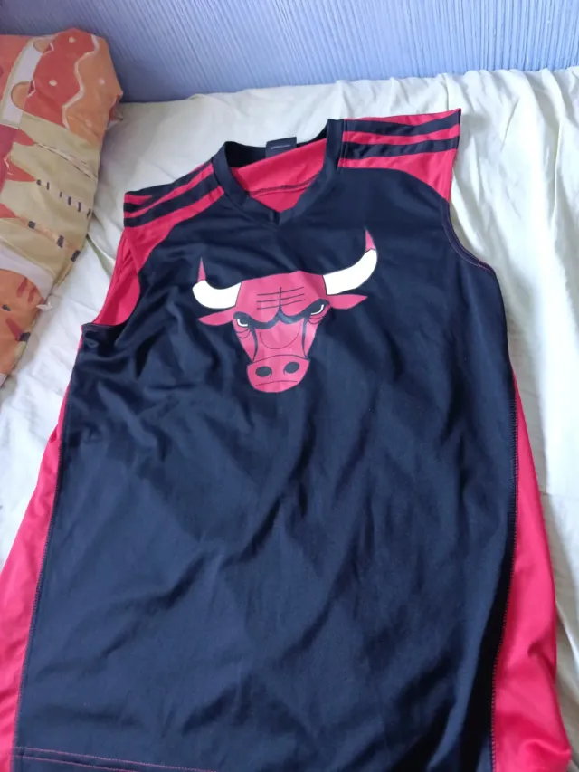Camiseta Baloncesto Chicago Bulls