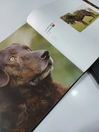 Enciclopedia razze canine