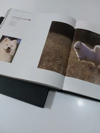 Enciclopedia razze canine