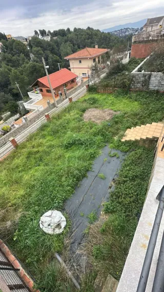 Jardinero Servicio de desbroce de terrenos