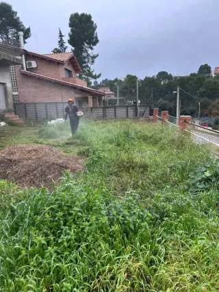 Jardinero Servicio de desbroce de terrenos